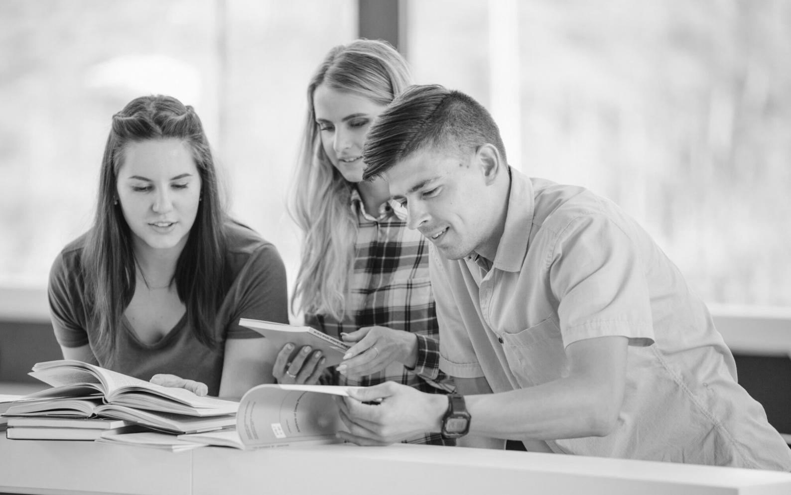 Portfolio analysis and market data review